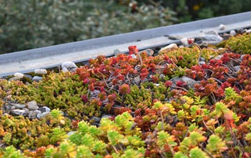 the cost of Aghory green roof installation