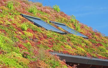 Aghory living roof systems