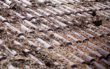 Aghory roof cleaning companies